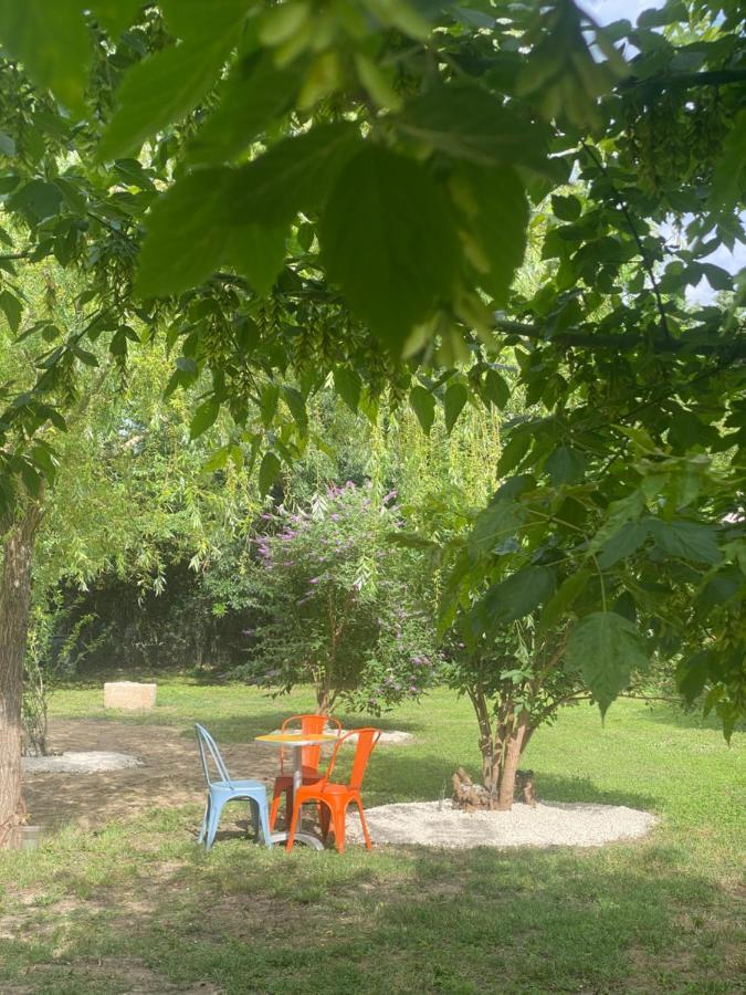 Appartement Les Cypres De L'Ile Avignon Kültér fotó